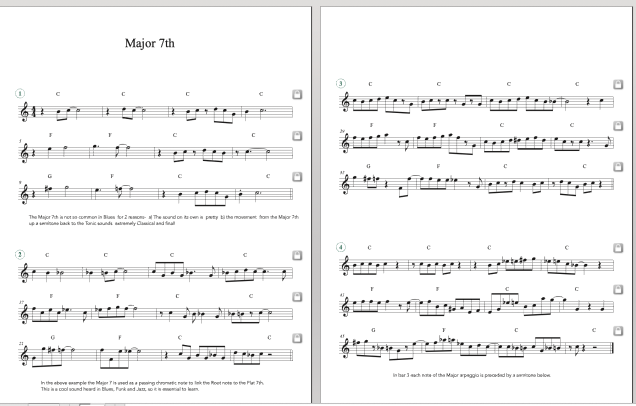 Pizza Blues method digital download