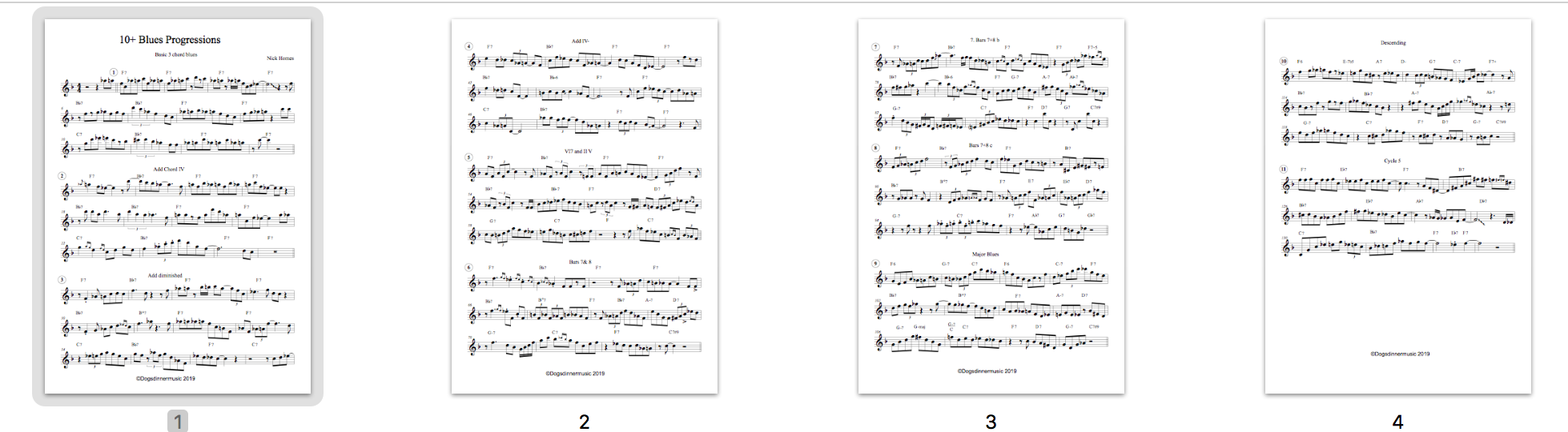 10+ Essential Blues Progressions + 33 SOLOS complete Package