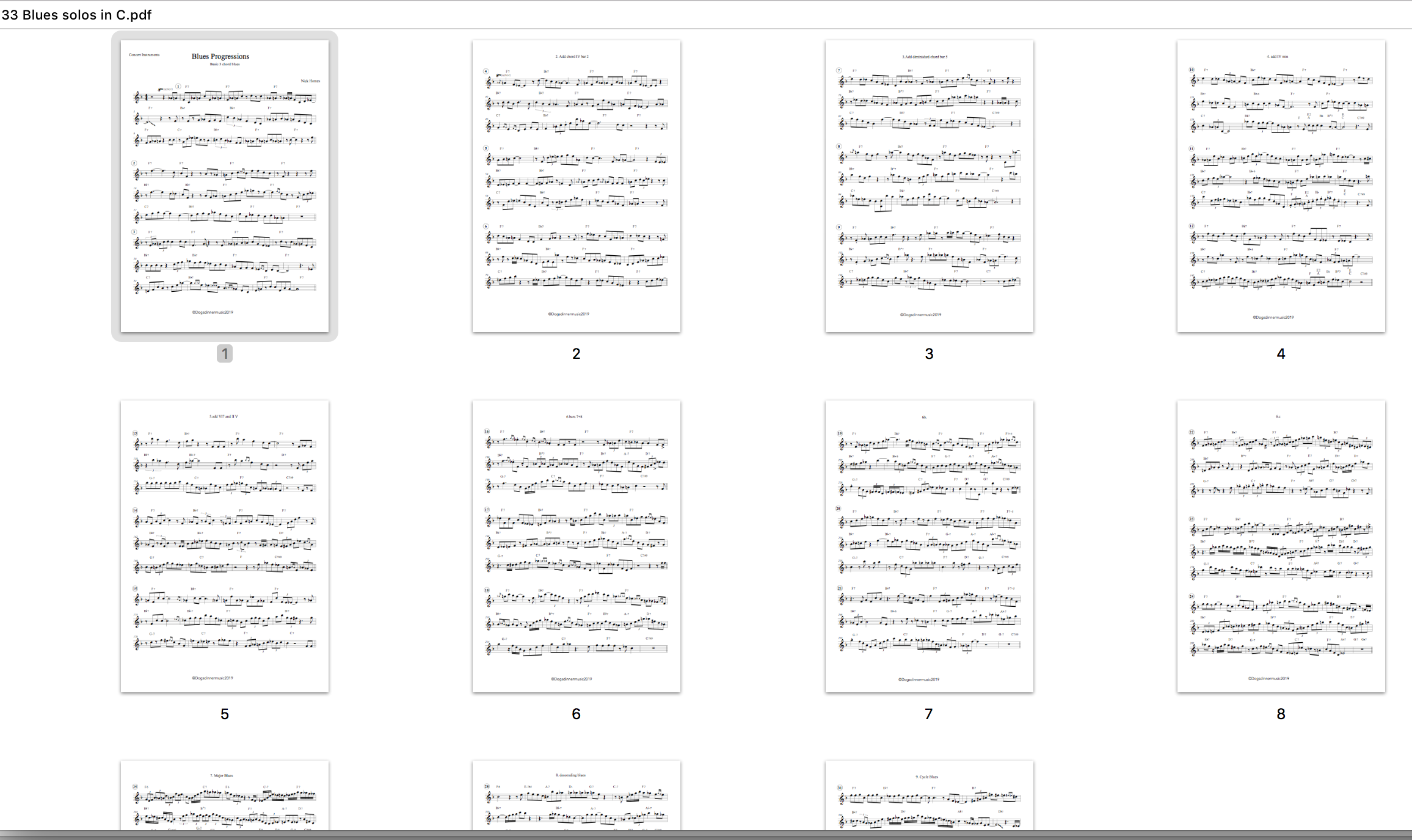 10+ Essential Blues Progressions + 33 SOLOS complete Package